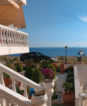 Vacation House Rental 20m From the Beach